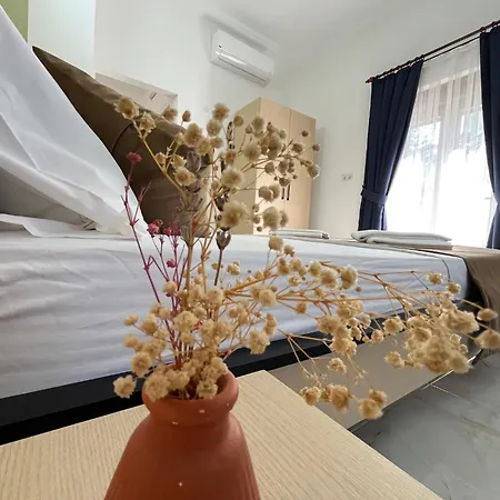 Hania - Adults Only シダ